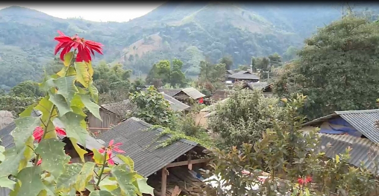 Đón Tết trên đỉnh Phù Lồng Đón Tết trên đỉnh Phù Lồng