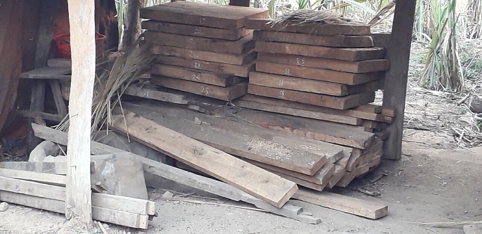Phát hiện lượng lớn gỗ trái phép trong nhà trưởng Công an xã dien bien truong cong an xa cho nguoi la gui go khai thac trai phep