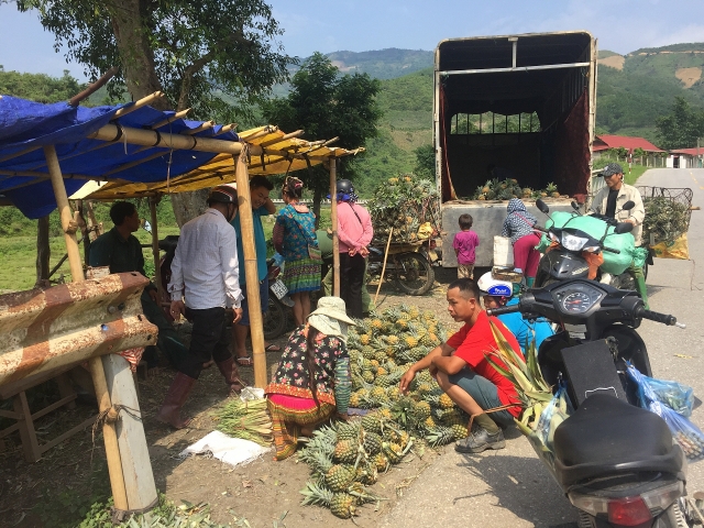 Hiệu quả từ việc thực hiện các chính sách giảm nghèo tại Mường Chà (Điện Biên) hieu qua tu viec thuc hien cac chinh sach giam ngheo tai muong cha