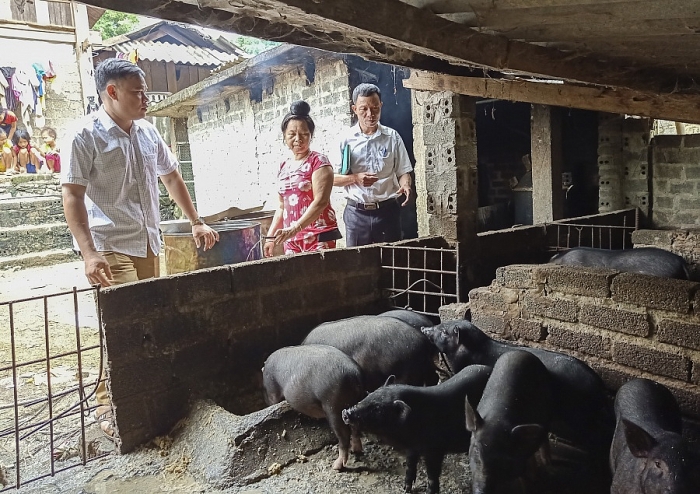 Mô hình hỗ trợ sinh kế giúp Tuần Giáo giảm nghèo bền vững mo hinh ho tro sinh ke giup tuan giao giam ngheo ben vung