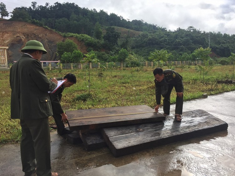 Điện Biên: Đẩy mạnh xử lý và tuyên truyền nhằm hạn chế tình trạng phá rừng làm nương Điện Biên: Đẩy mạnh xử lý và tuyên truyền nhằm hạn chế tình trạng phá rừng làm nương