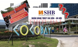 chu dau tu van huong loi du du an cocobay da nang vo tran