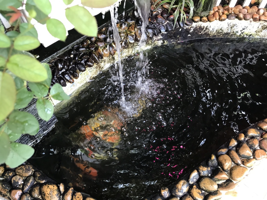 Ông bố tâm lý thiết kế góc sân xanh mát với xích đu và hoa hồng cho con gái vui chơi mùa hè ong bo tam ly thiet ke goc san xanh mat voi xich du va hoa hong cho con gai vui choi mua he