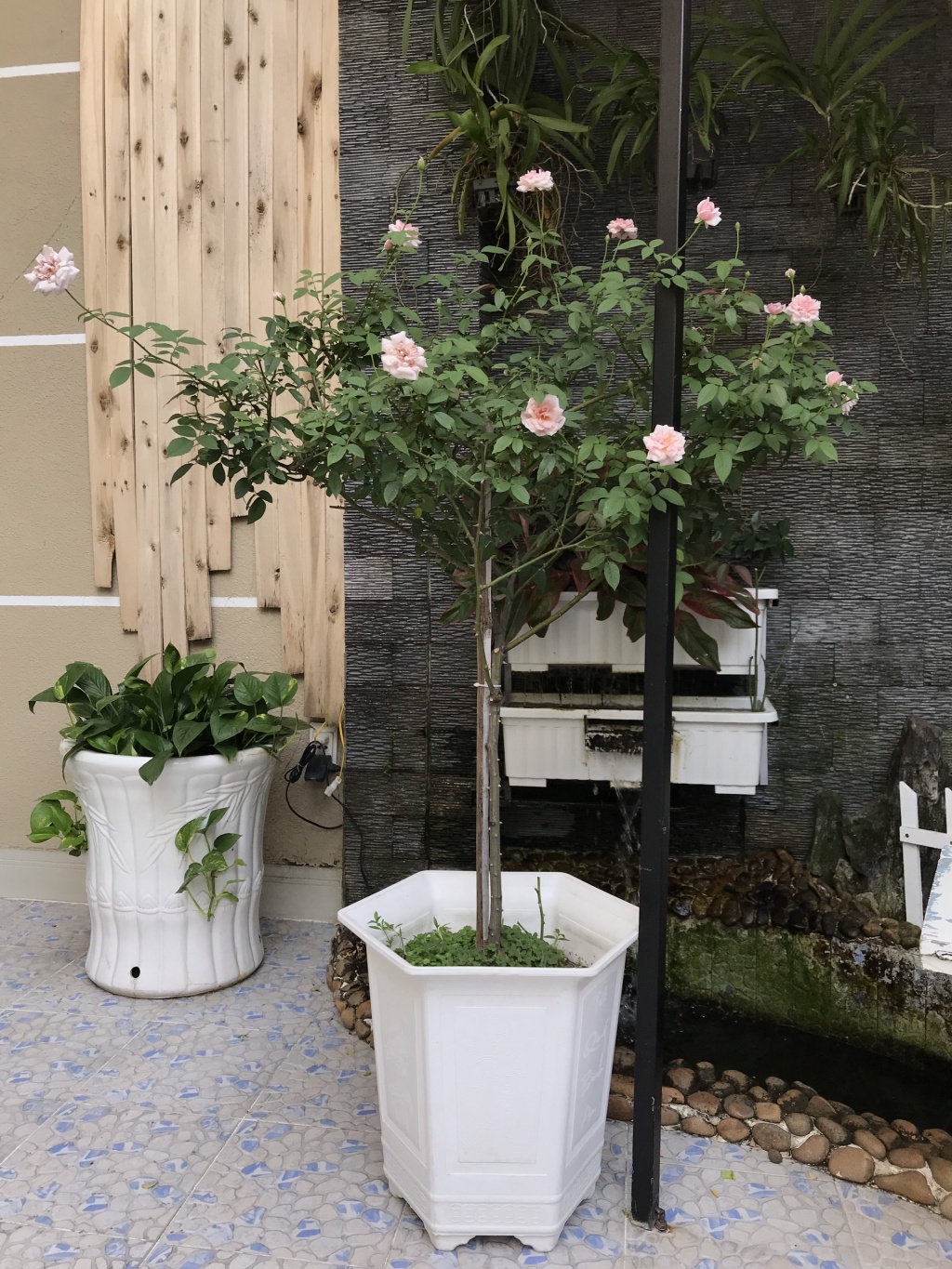 Ông bố tâm lý thiết kế góc sân xanh mát với xích đu và hoa hồng cho con gái vui chơi mùa hè ong bo tam ly thiet ke goc san xanh mat voi xich du va hoa hong cho con gai vui choi mua he