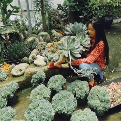 ban cong thieu nang van ruc ro huong sac hoa hong cua co nang 8x o sai gon