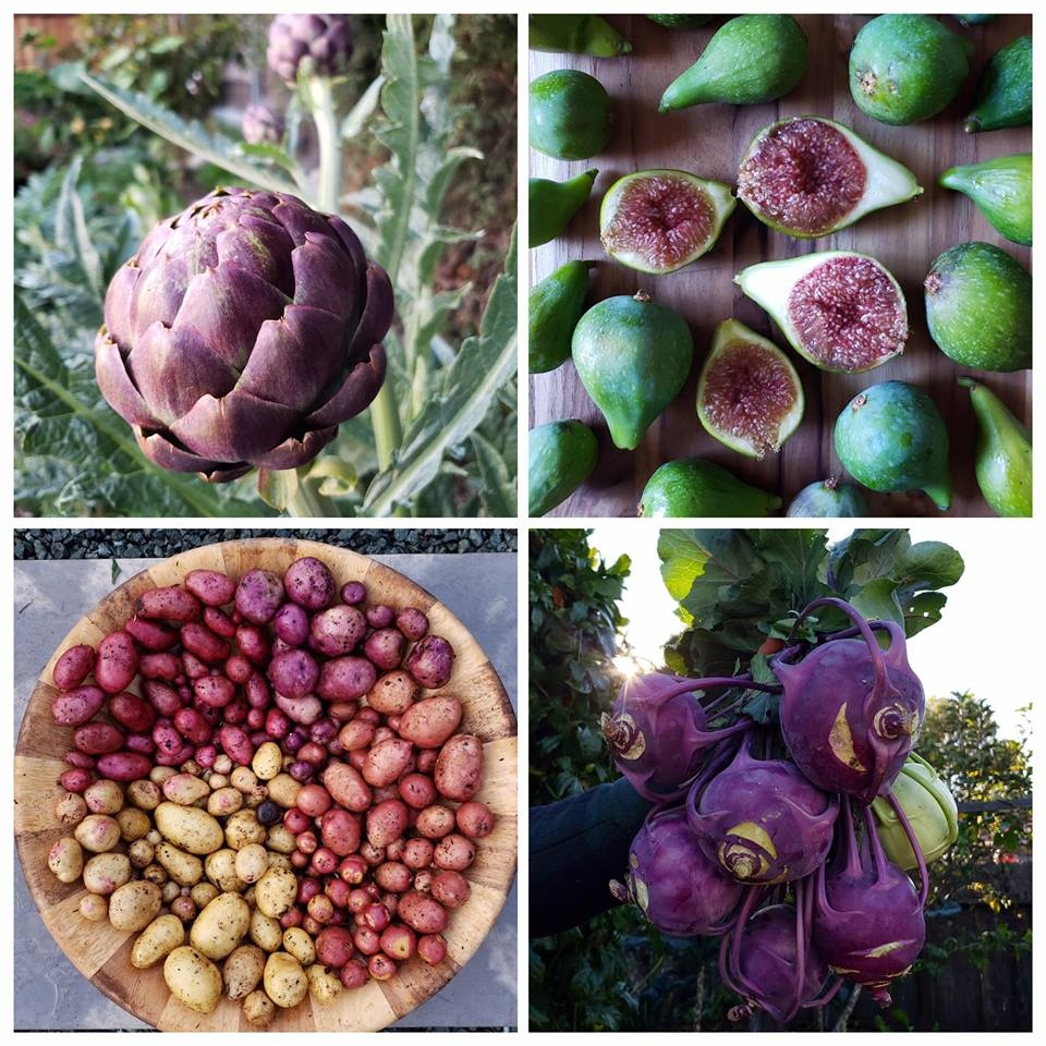 Cuộc sống bình yên, tự tại của cô gái trẻ quyết tâm bỏ phố về quê trồng rau, nuôi gà cuoc song binh yen tu tai cua co gai tre quyet tam bo pho ve que trong rau nuoi ga