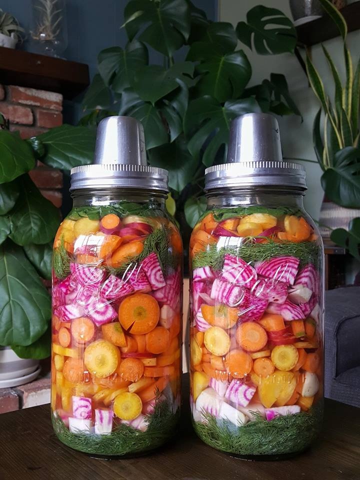 Cuộc sống bình yên, tự tại của cô gái trẻ quyết tâm bỏ phố về quê trồng rau, nuôi gà cuoc song binh yen tu tai cua co gai tre quyet tam bo pho ve que trong rau nuoi ga