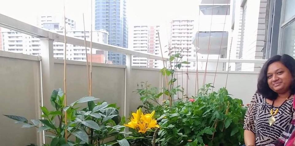 Ban công nhỏ trên tầng 15 vẫn trồng đủ loại rau quả sạch ai ngắm cũng mê ban cong nho tren tang 15 van trong du loai rau qua sach ai ngam cung me