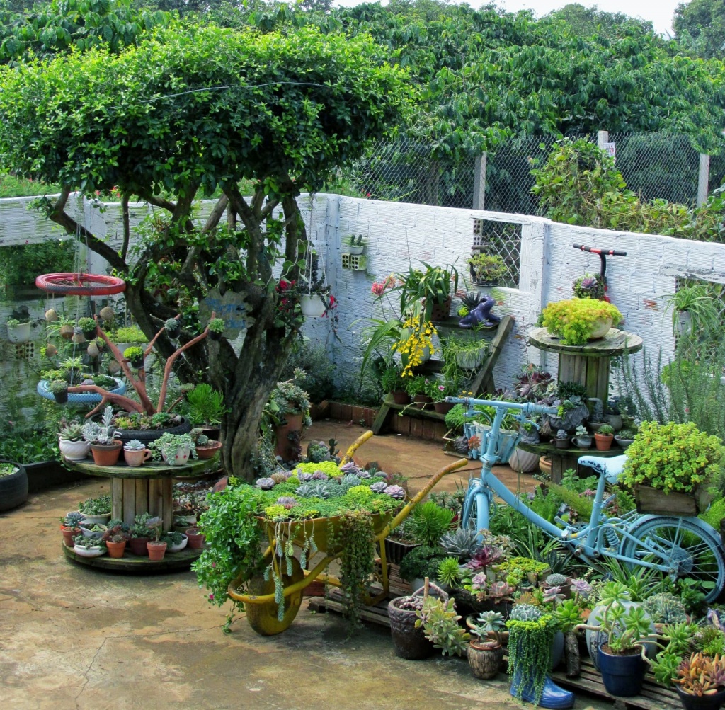 Mảnh vườn duyên dáng với sen đá và đồ tái chế có một không hai ở Đà Lạt manh vuon duyen dang voi sen da va do tai che co mot khong hai o da lat