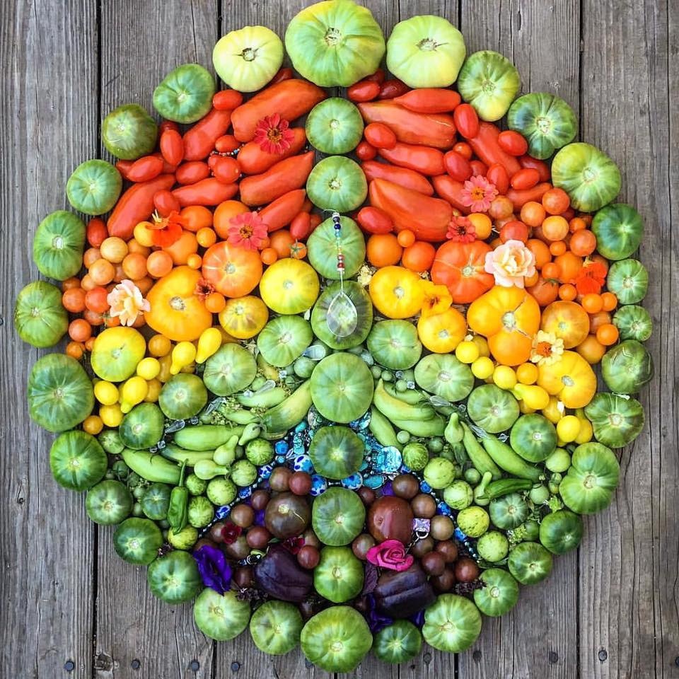 Khu vườn siêu dễ thương với đủ sắc màu rau củ quả organic của mẹ đơn thân cùng hai con trai khu vuon sieu de thuong voi du sac mau rau cu qua organic cua me don than cung hai con trai