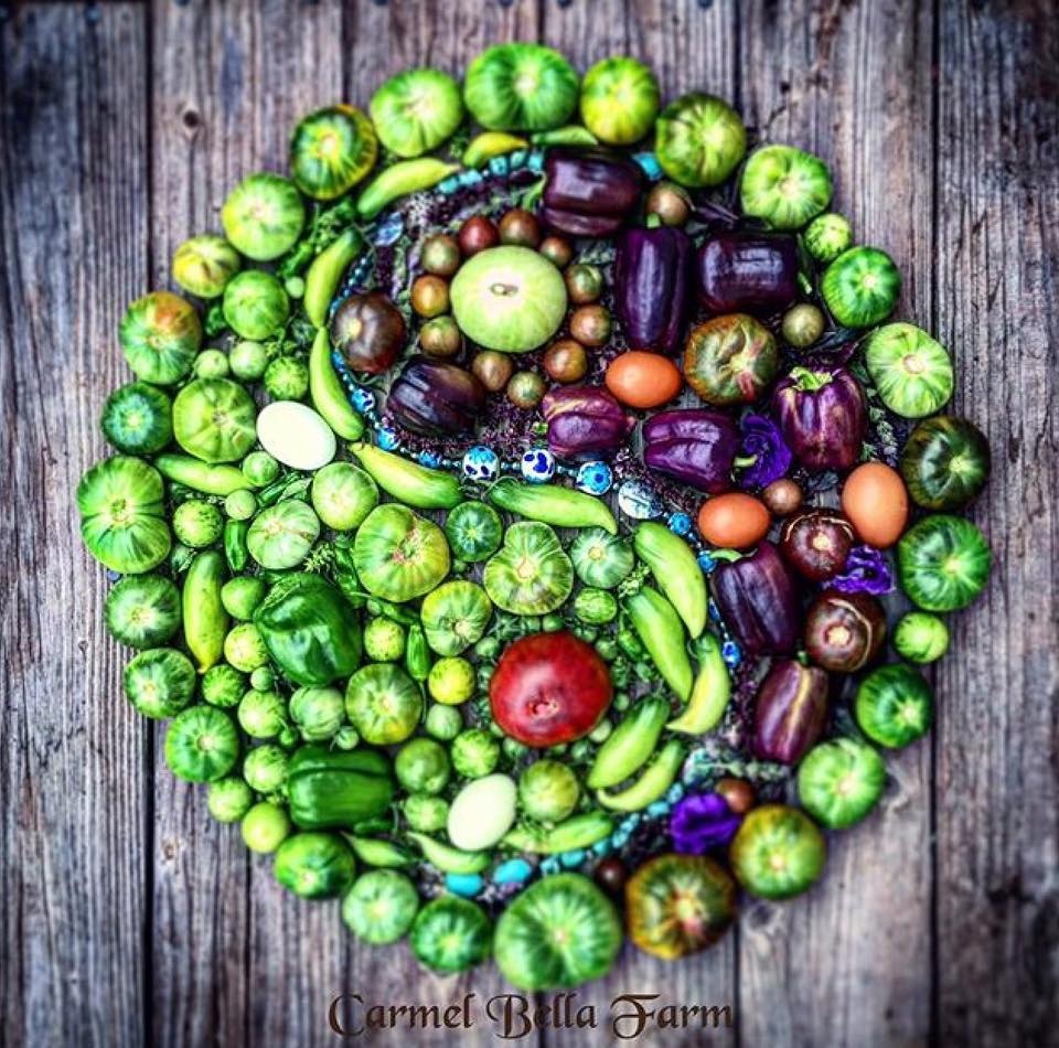 Khu vườn siêu dễ thương với đủ sắc màu rau củ quả organic của mẹ đơn thân cùng hai con trai khu vuon sieu de thuong voi du sac mau rau cu qua organic cua me don than cung hai con trai