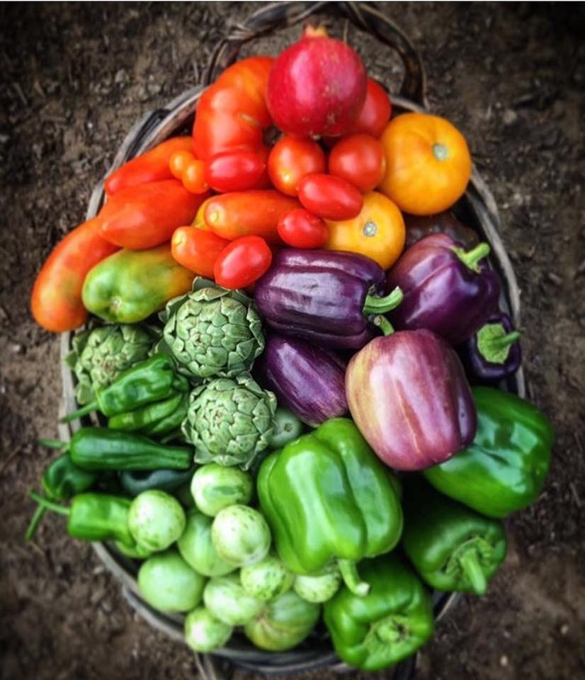 Khu vườn siêu dễ thương với đủ sắc màu rau củ quả organic của mẹ đơn thân cùng hai con trai khu vuon sieu de thuong voi du sac mau rau cu qua organic cua me don than cung hai con trai