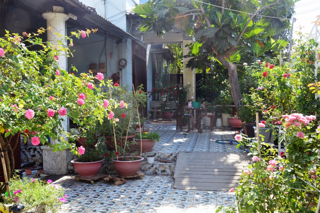 loi vao nha dep nhu mo voi hoa hong ruc ro trong sac nang sai gon