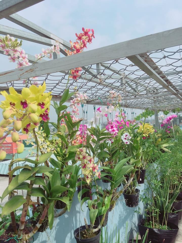 Sân thượng 20m2 