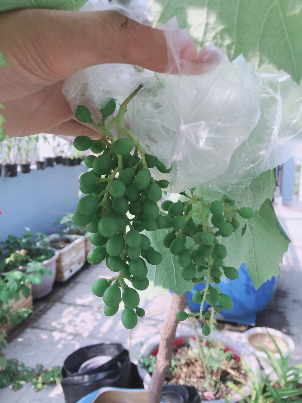 Sân thượng 20m2 