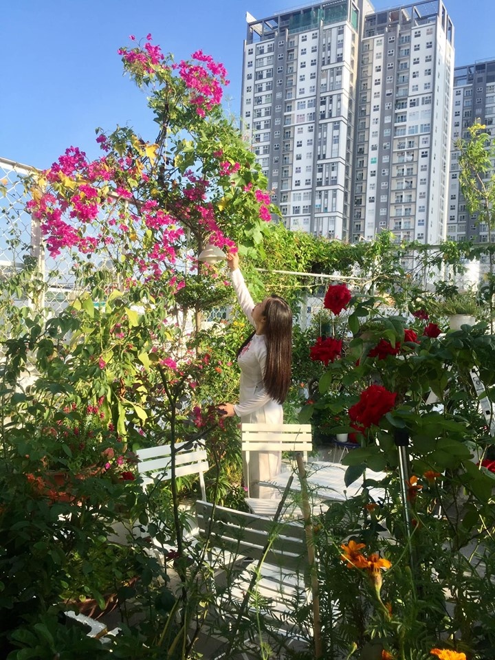 Vườn hoa đủ loại đua nhau khoe sắc đẹp thơ mộng trên tầng thượng ở TP. HCM vuon hoa du loai dua nhau khoe sac dep tho mong tren tang thuong o tp hcm