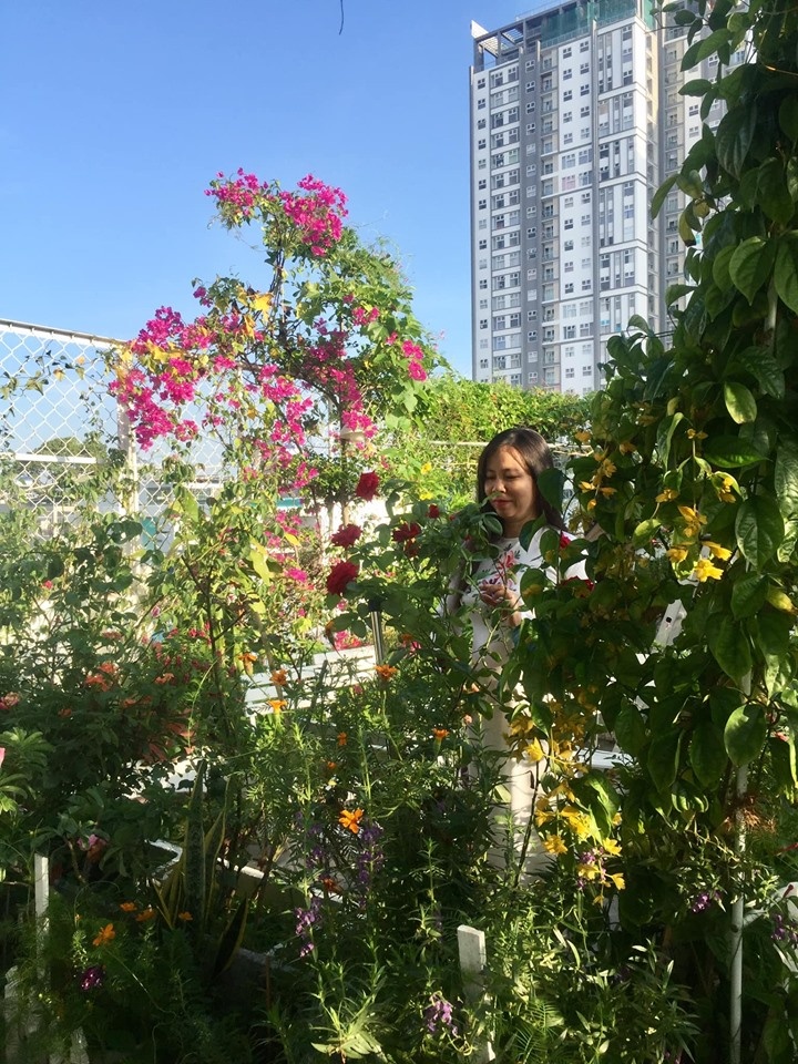 Vườn hoa đủ loại đua nhau khoe sắc đẹp thơ mộng trên tầng thượng ở TP. HCM vuon hoa du loai dua nhau khoe sac dep tho mong tren tang thuong o tp hcm