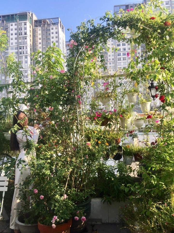 Vườn hoa đủ loại đua nhau khoe sắc đẹp thơ mộng trên tầng thượng ở TP. HCM vuon hoa du loai dua nhau khoe sac dep tho mong tren tang thuong o tp hcm