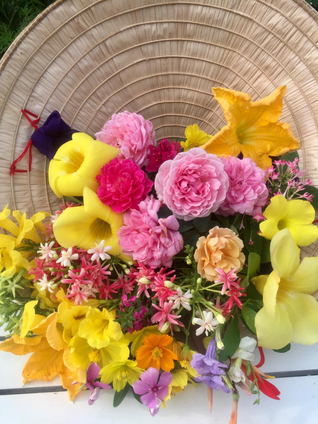 Vườn hoa đủ loại đua nhau khoe sắc đẹp thơ mộng trên tầng thượng ở TP. HCM vuon hoa du loai dua nhau khoe sac dep tho mong tren tang thuong o tp hcm