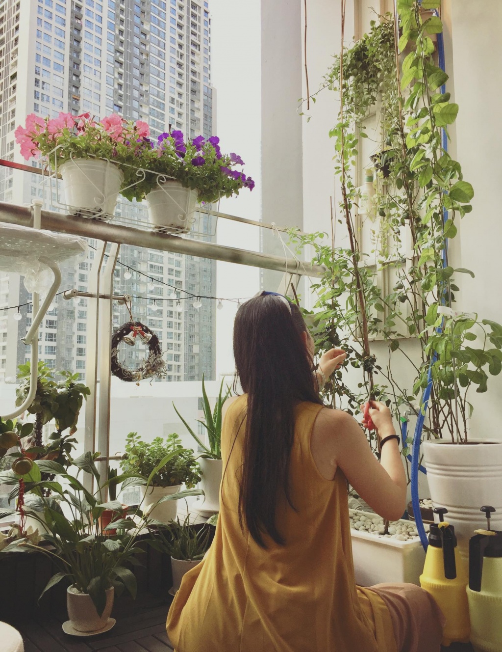 Ban công xanh mát trên tầng cao bất chấp nắng gió nhờ trồng rau và hoa ở TP HCM ban cong xanh mat tren tang cao bat chap nang gio nho trong rau va hoa o tp hcm