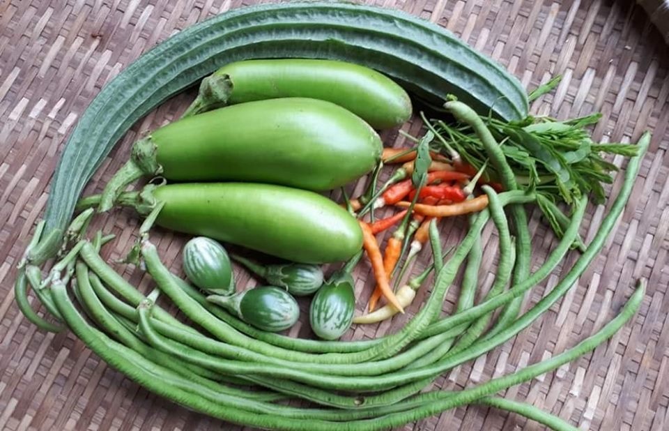 Vì muốn chăm sóc bố mẹ già, chàng trai từ bỏ việc lương cao về quê trồng cây làm vườn theo phương thức hữu cơ vi muon cham soc bo me gia chang trai tu bo viec luong cao ve que trong cay lam vuon theo phuong thuc huu co
