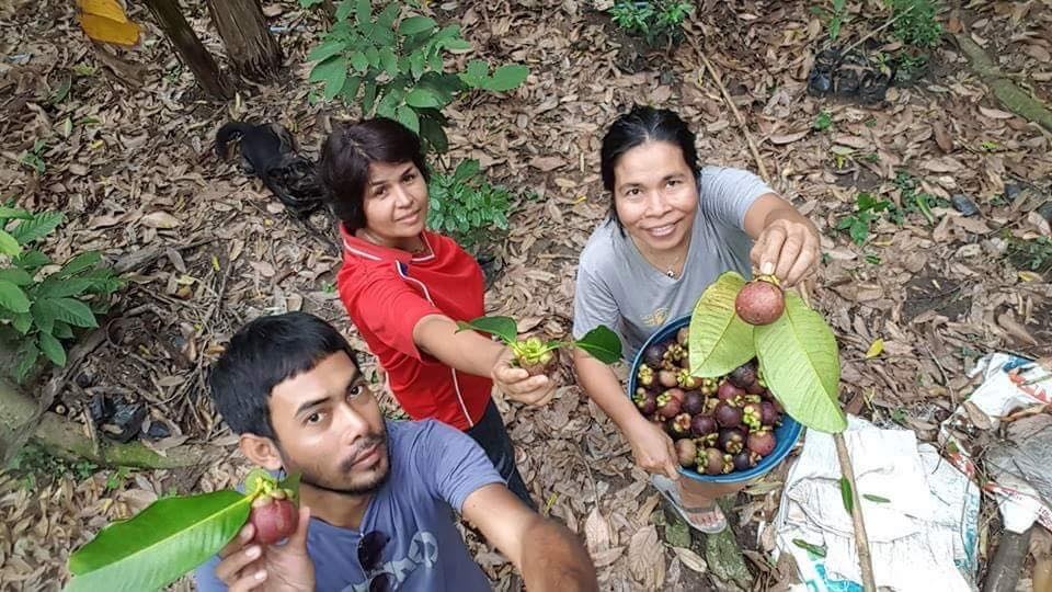 Vì muốn chăm sóc bố mẹ già, chàng trai từ bỏ việc lương cao về quê trồng cây làm vườn theo phương thức hữu cơ vi muon cham soc bo me gia chang trai tu bo viec luong cao ve que trong cay lam vuon theo phuong thuc huu co