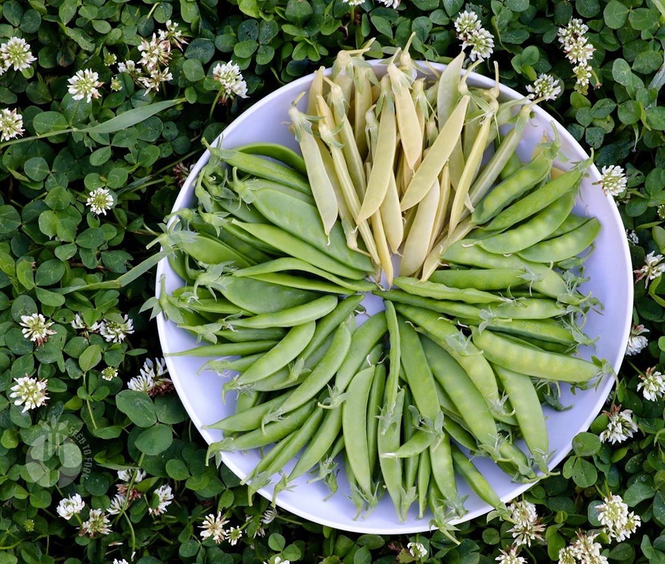 Vợ chồng trẻ cùng hai con 