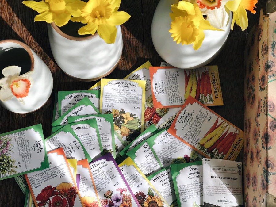Bỏ phố về quê, gia đình 5 người tận hưởng cuộc sống thảnh thơi bên khu vườn xanh mát, trong lành bo pho ve que gia dinh 5 nguoi tan huong cuoc song thanh thoi ben khu vuon xanh mat trong lanh