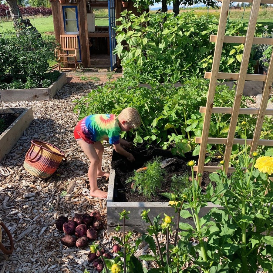 Bỏ phố về quê, gia đình 5 người tận hưởng cuộc sống thảnh thơi bên khu vườn xanh mát, trong lành bo pho ve que gia dinh 5 nguoi tan huong cuoc song thanh thoi ben khu vuon xanh mat trong lanh