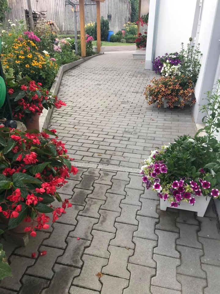 Khu vườn 200m2 đẹp như mơ với đủ loại hoa, cây ăn quả và rau sạch của người phụ nữ Việt ở Đức