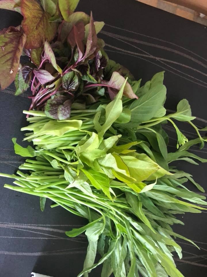 Ban công nhỏ xíu vẫn đầy ắp rau quả xanh tốt của mẹ trẻ trồng cho con gái thưởng thức ban cong nho xiu van day ap rau qua xanh tot cua me tre trong cho con gai thuong thuc
