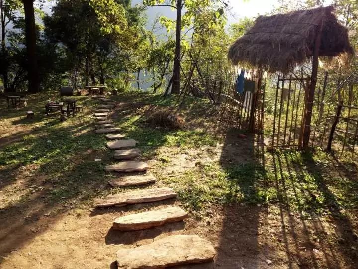 co gai 27 tuoi len nui song yen binh cung cay co 3 nam khong can mua sam khong can dung wifi