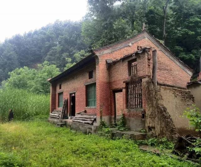 co gai 27 tuoi len nui song yen binh cung cay co 3 nam khong can mua sam khong can dung wifi