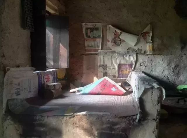 co gai 27 tuoi len nui song yen binh cung cay co 3 nam khong can mua sam khong can dung wifi