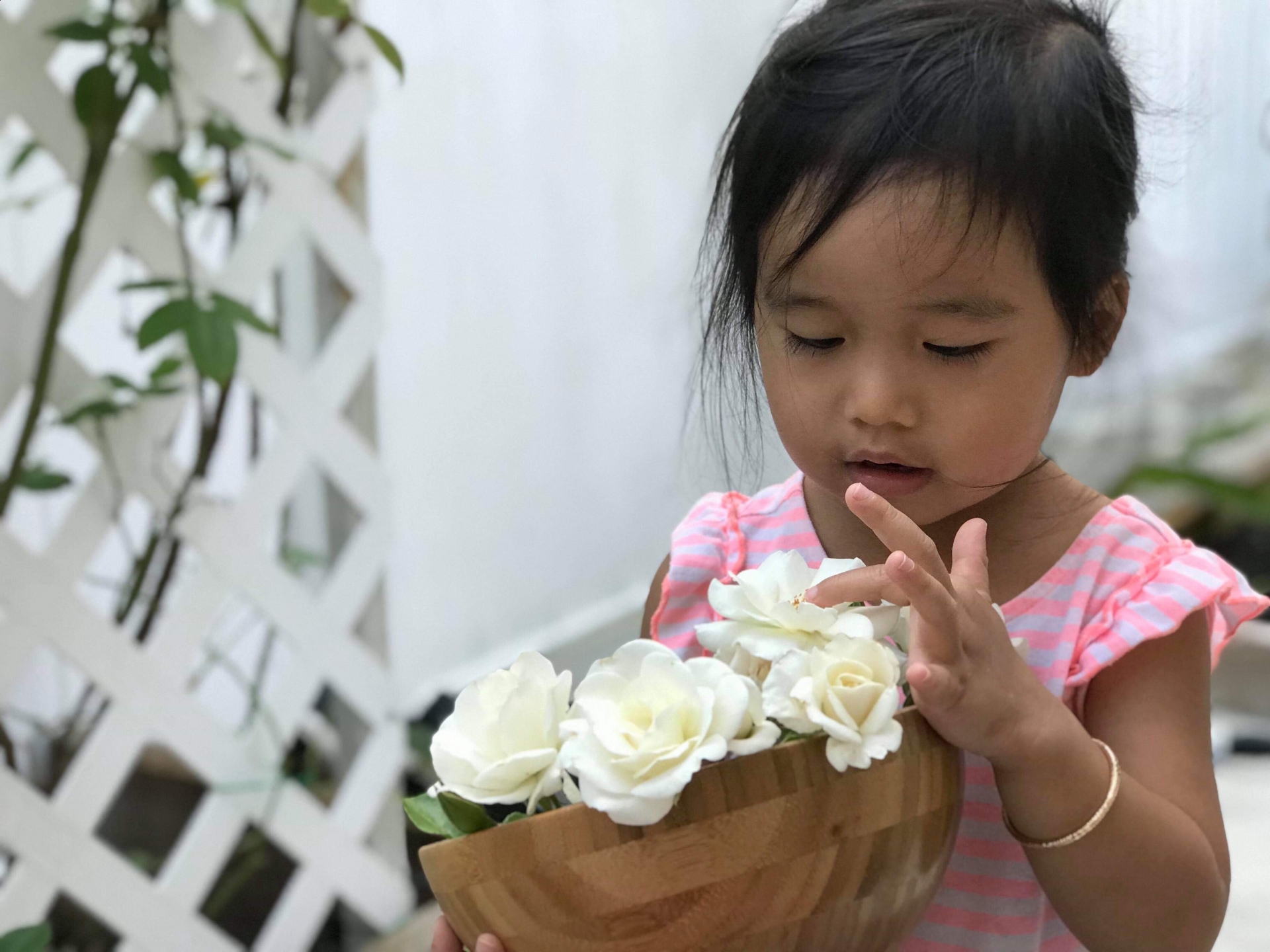 Khu vườn đậm chất quê hương của mẹ Việt ở Mỹ cho vơi bớt nỗi nhớ nhà khu vuon dam chat que huong cua me viet trong o my cho voi bot noi nho nha