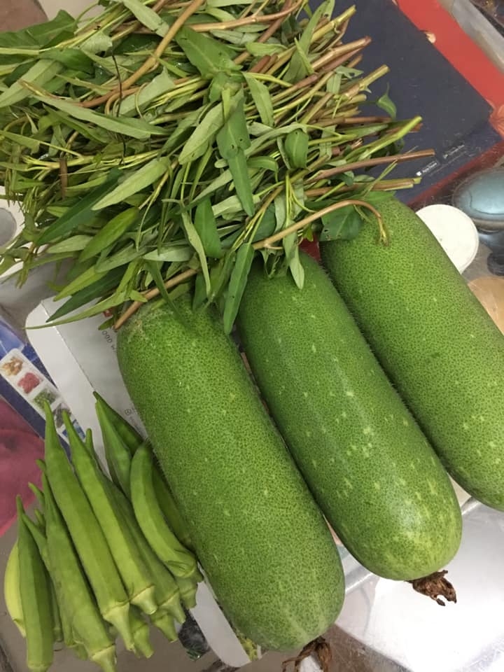 Cuộc sống thảnh thơi của người phụ nữ Sài Thành trồng đủ loại rau quả trên sân thượng 20m2 cuoc song thanh thoi cua nguoi phu nu sai thanh yeu thich trong du loai rau qua tren san thuong 20m2