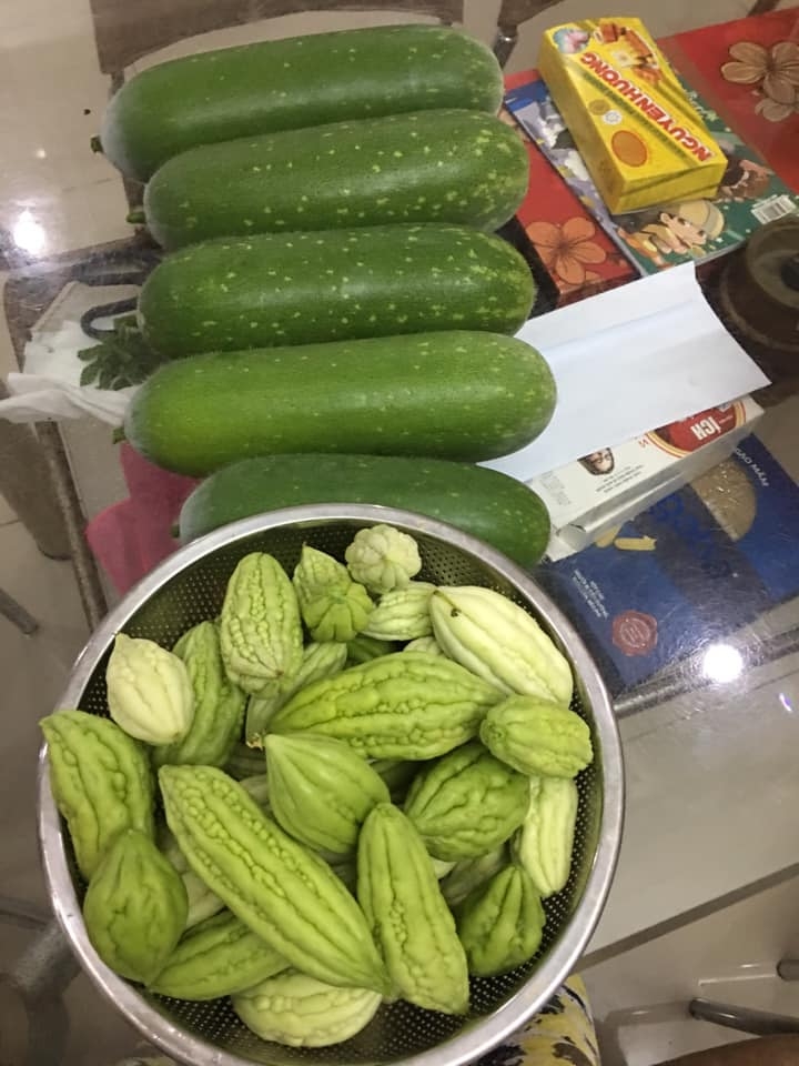 Cuộc sống thảnh thơi của người phụ nữ Sài Thành trồng đủ loại rau quả trên sân thượng 20m2 cuoc song thanh thoi cua nguoi phu nu sai thanh yeu thich trong du loai rau qua tren san thuong 20m2