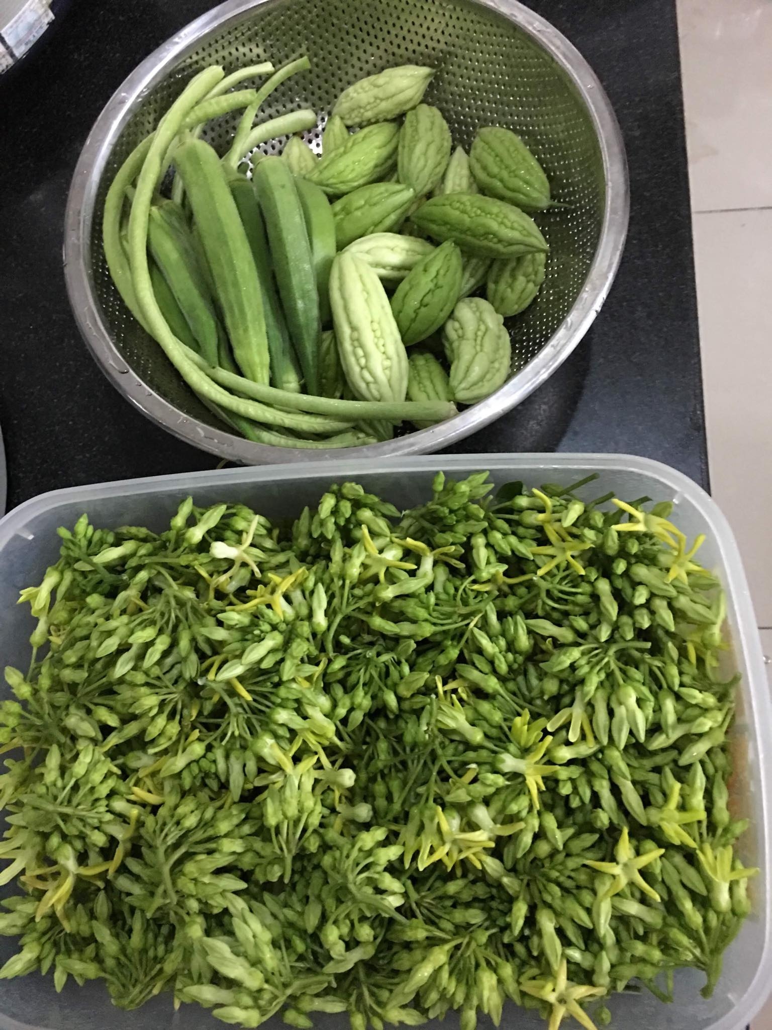 Cuộc sống thảnh thơi của người phụ nữ Sài Thành trồng đủ loại rau quả trên sân thượng 20m2 cuoc song thanh thoi cua nguoi phu nu sai thanh yeu thich trong du loai rau qua tren san thuong 20m2