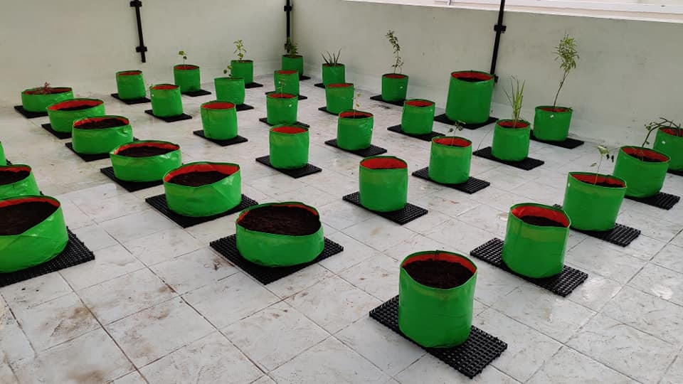 Khu vườn sân thượng trồng đủ loại rau quả mang lại cảm hứng cho hàng nghìn người khu vuon san thuong trong du loai rau qua nhu trang trai mang lai cam hung cho hang nghin nguoi song xanh