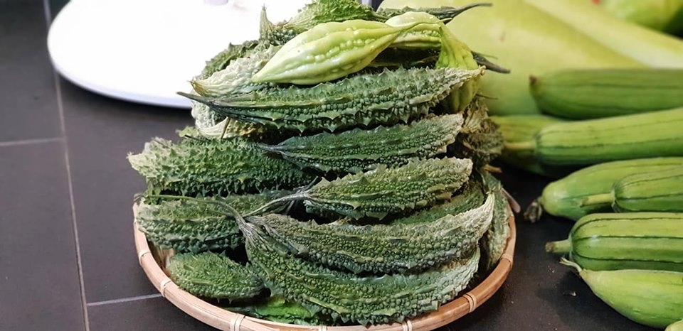 Khu vườn đủ loại rau xanh của nữ Việt kiều Đức khu vuon mua he day ap bau bi muop cung cac loai rau xanh cua nguoi phu nu thich trong trot tu thuo 15