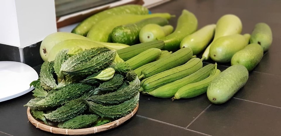 Khu vườn đủ loại rau xanh của nữ Việt kiều Đức khu vuon mua he day ap bau bi muop cung cac loai rau xanh cua nguoi phu nu thich trong trot tu thuo 15