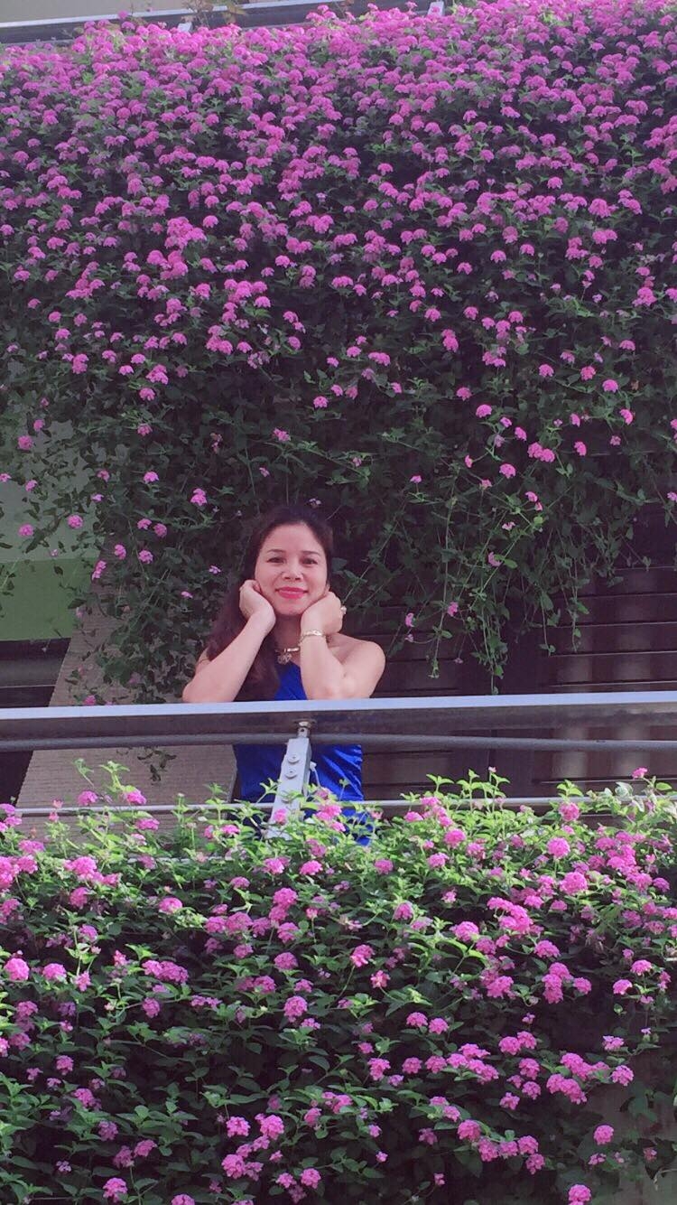Mặt tiền ngôi nhà Điện Biên đẹp như tranh vẽ nhờ phủ kín hoa màu tím rực rỡ mat tien ngoi nha dien bien dep nhu tranh ve nho phu kin hoa mau tim ruc ro
