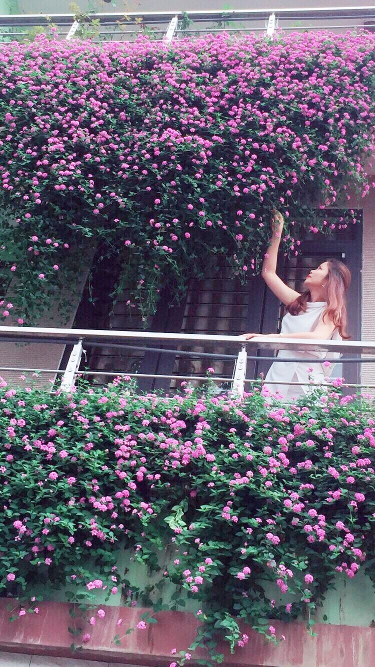 Mặt tiền ngôi nhà Điện Biên đẹp như tranh vẽ nhờ phủ kín hoa màu tím rực rỡ mat tien ngoi nha dien bien dep nhu tranh ve nho phu kin hoa mau tim ruc ro
