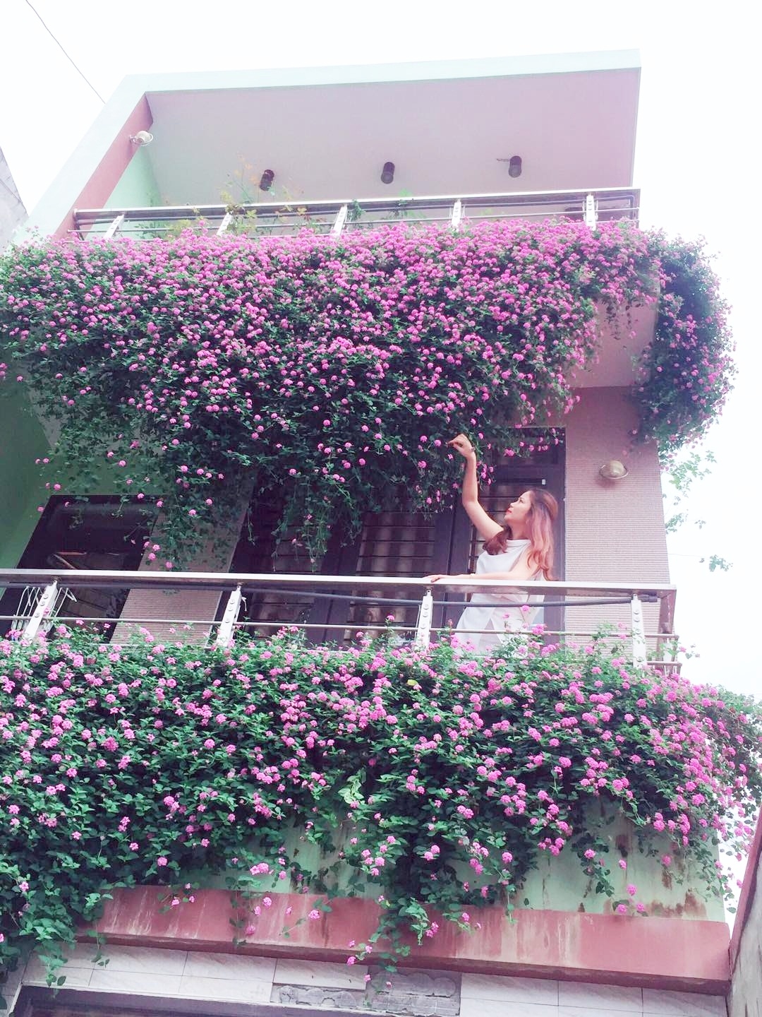 Mặt tiền ngôi nhà Điện Biên đẹp như tranh vẽ nhờ phủ kín hoa màu tím rực rỡ mat tien ngoi nha dien bien dep nhu tranh ve nho phu kin hoa mau tim ruc ro
