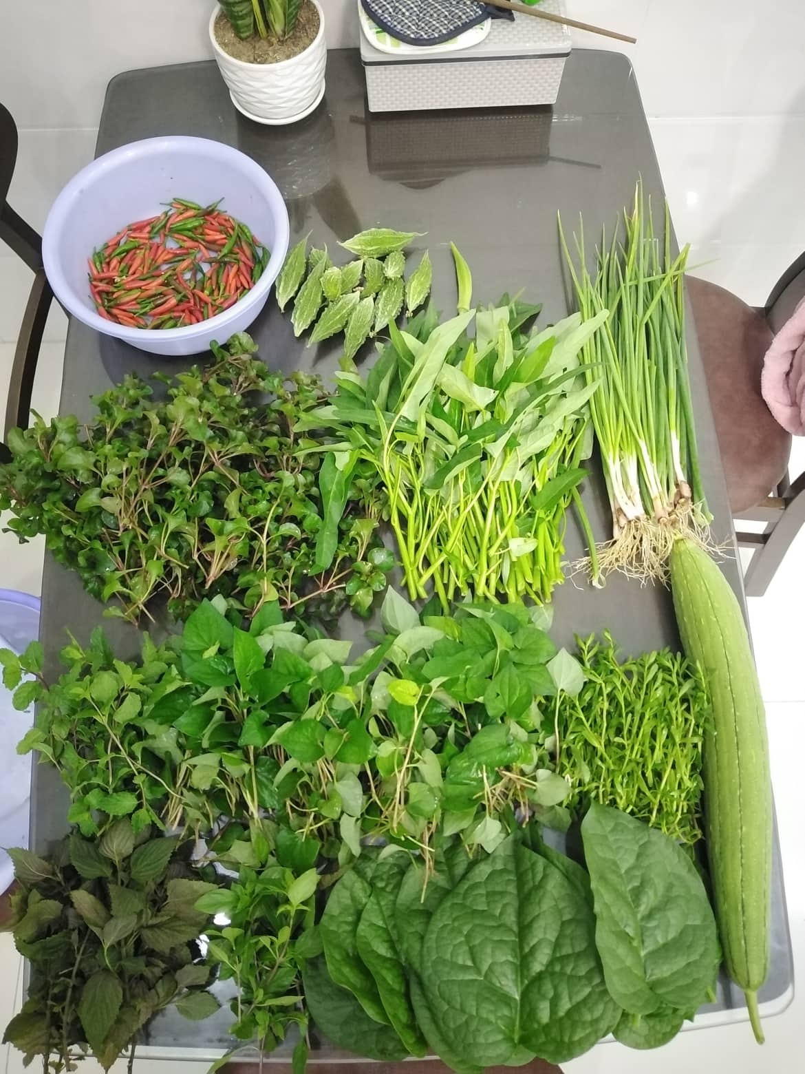 Sân thượng 25m2 đủ loại rau quả tươi tốt nhờ cách tận dụng rác nhà bếp san thuong 25m2 du loai rau qua tuoi tot nho cach tan dung rac nha bep