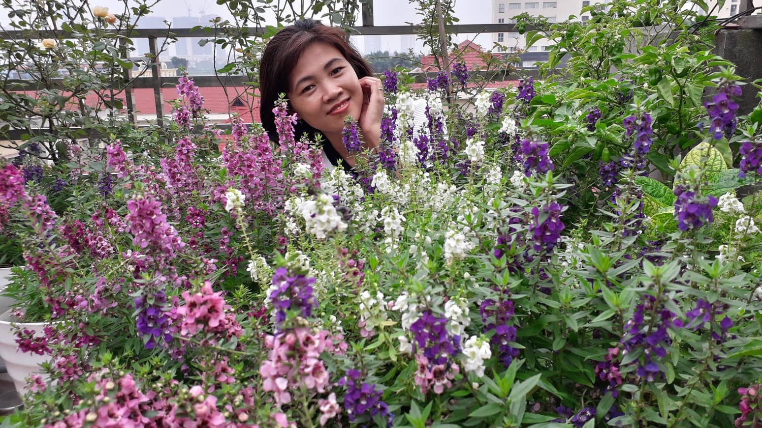 khu vuon nhieu nang am va rau qua sach tren san thuong rong 50m2 o ha noi