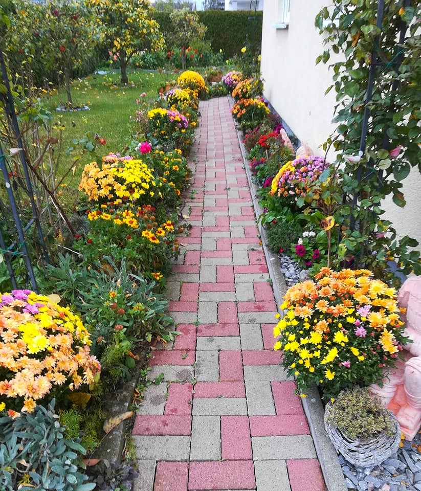 Khu vườn 500m2 đủ cây trái và rau sạch của mẹ Việt ở Đức khu vuon 500m2 du cay trai va rau sach cua me viet o duc