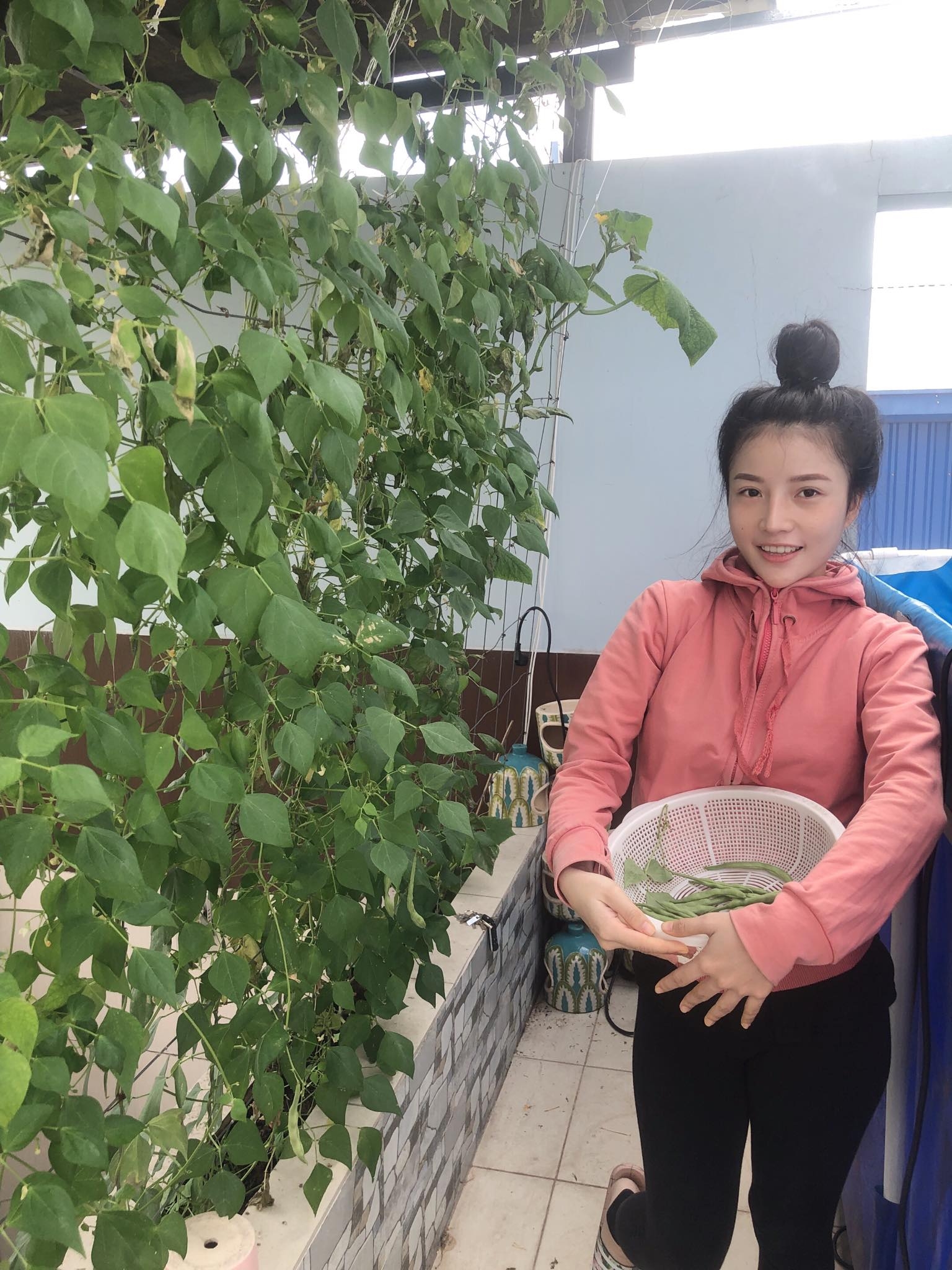 Ngỡ ngàng sân thượng chỉ 30m2 được phủ kín rau quả sạch ở Bình Dương me nau an va trong rau co gai phu kin du loai rau qua sach tren san thuong rong 30m2 o binh duong