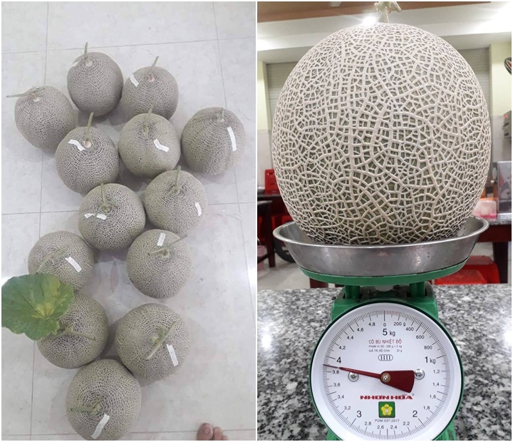 Khu vườn sân thượng đầy ắp cây trái xum xuê của ông bố trẻ ở Sài Gòn khu vuon san thuong day ap cay trai xum xue cua ong bo tre o sai gon