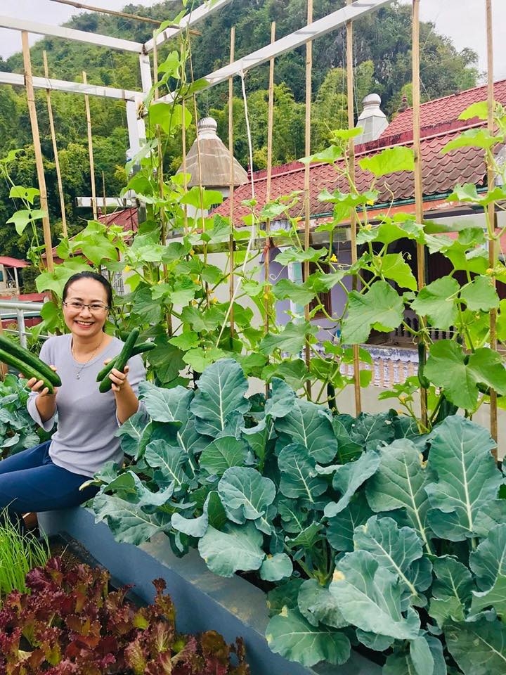 Sơn La: Vườn rau đủ loại xanh tốt trên sân thượng 50m2 của gia đình 4 người vuon rau du loai xanh tot tren san thuong 50m2 cua gia dinh 4 nguoi o son la
